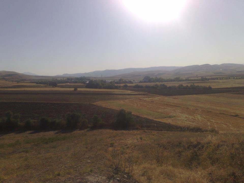 Dımırci
